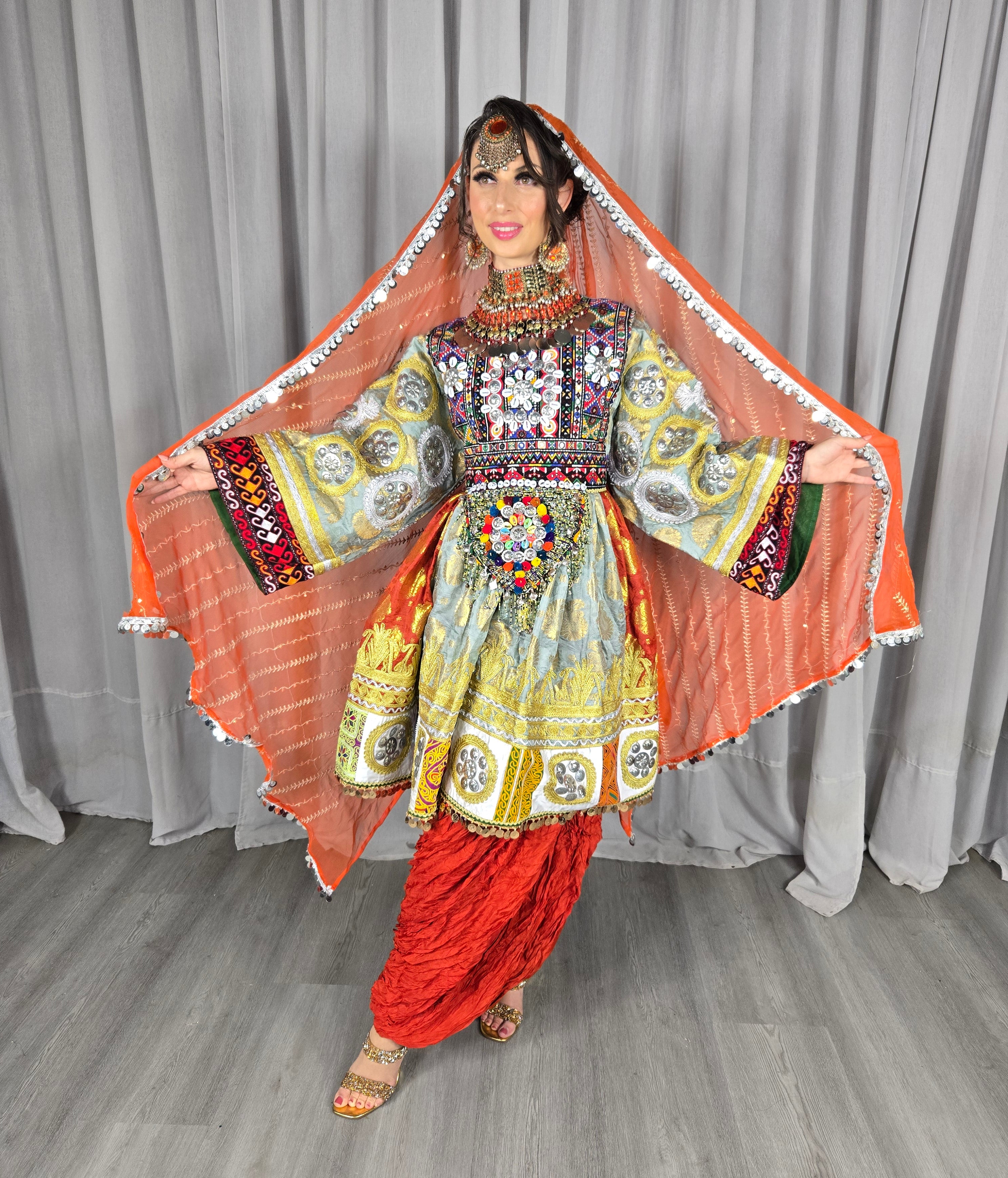 Plated Banaras Dress #6