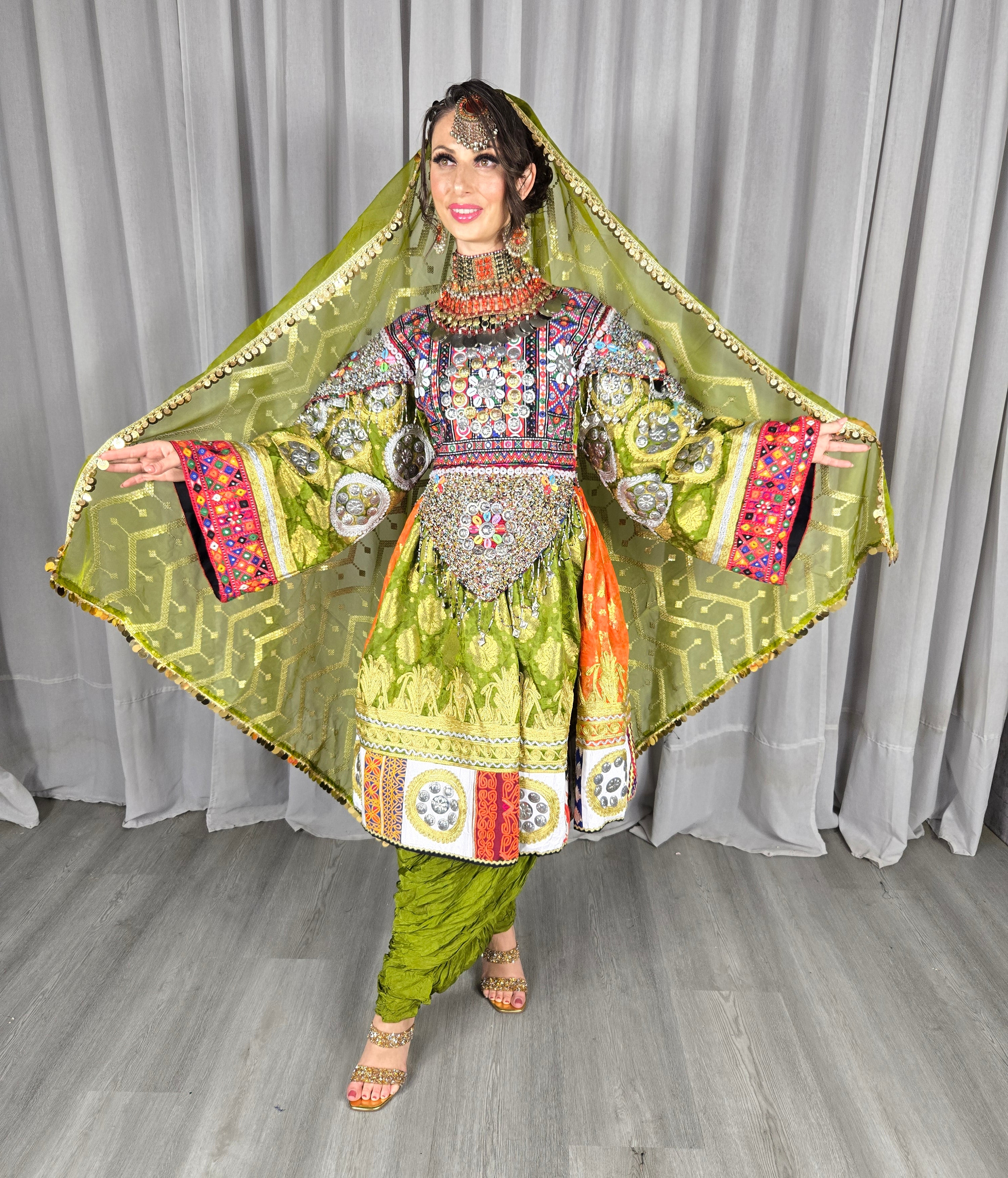 Plated Banaras Dress #4