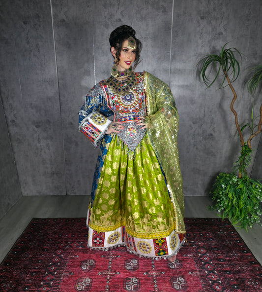 Pista/Blue Banaras Dress