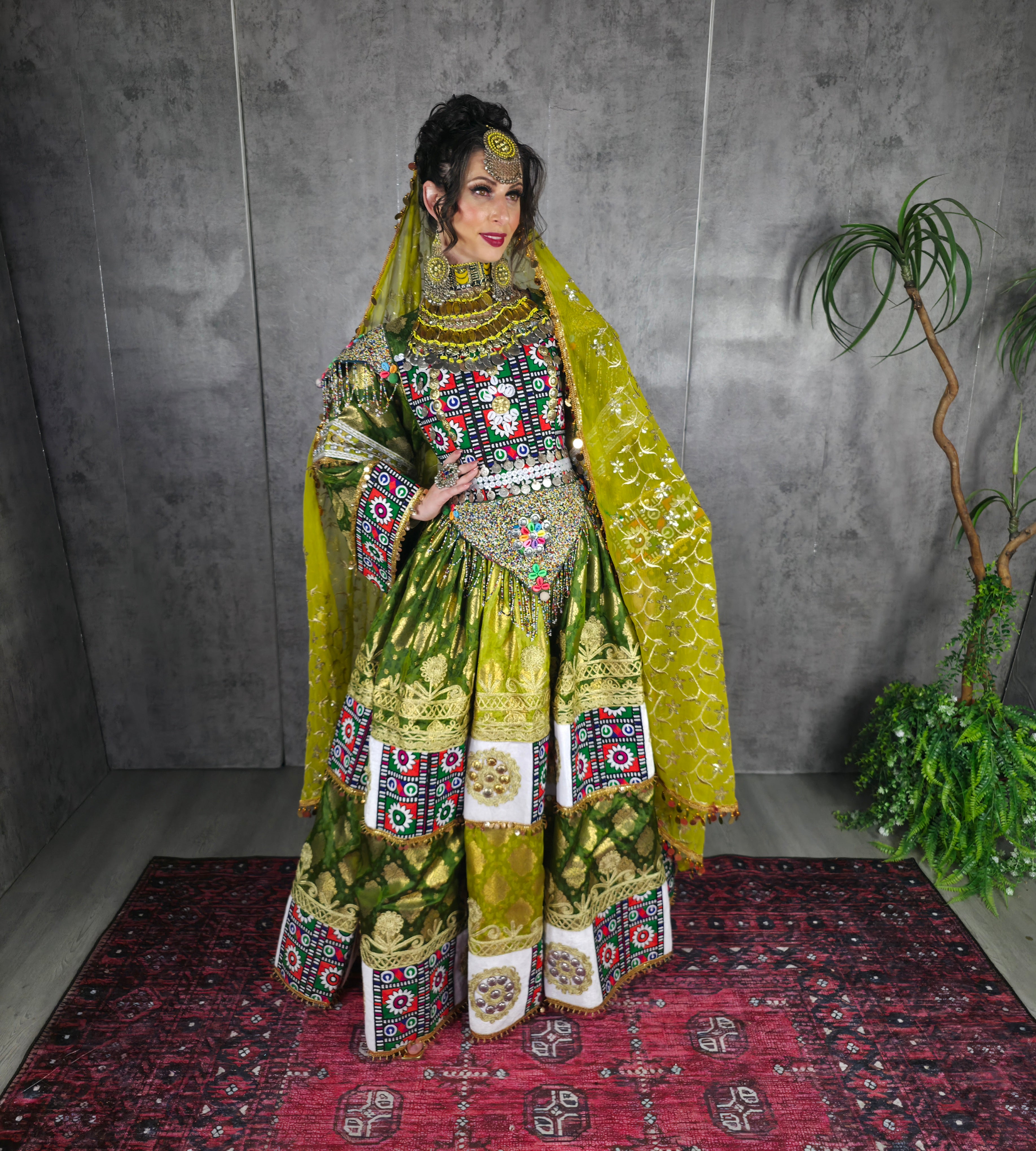 Pista/Green Banaras Dress