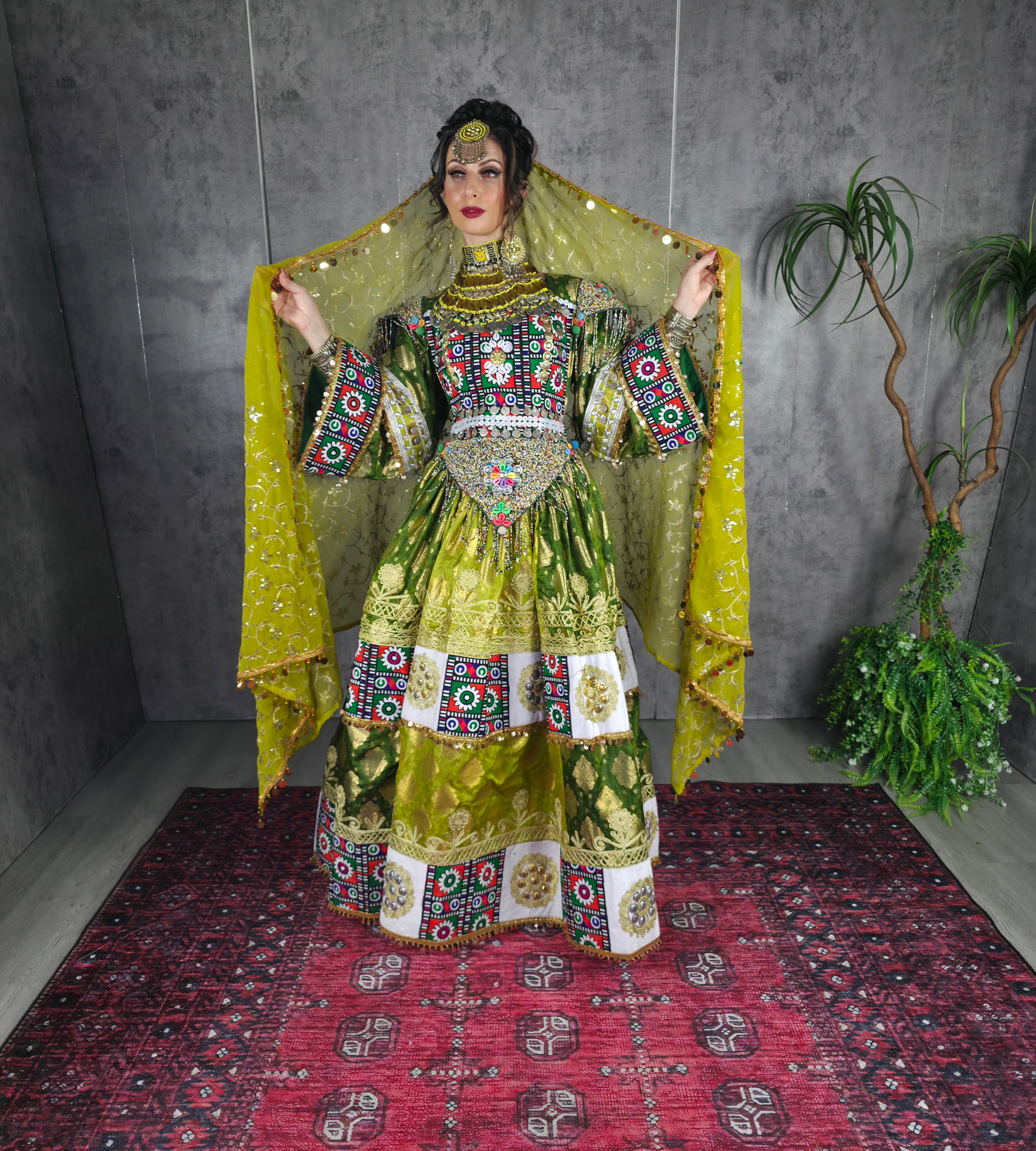Pista/Green Banaras Dress