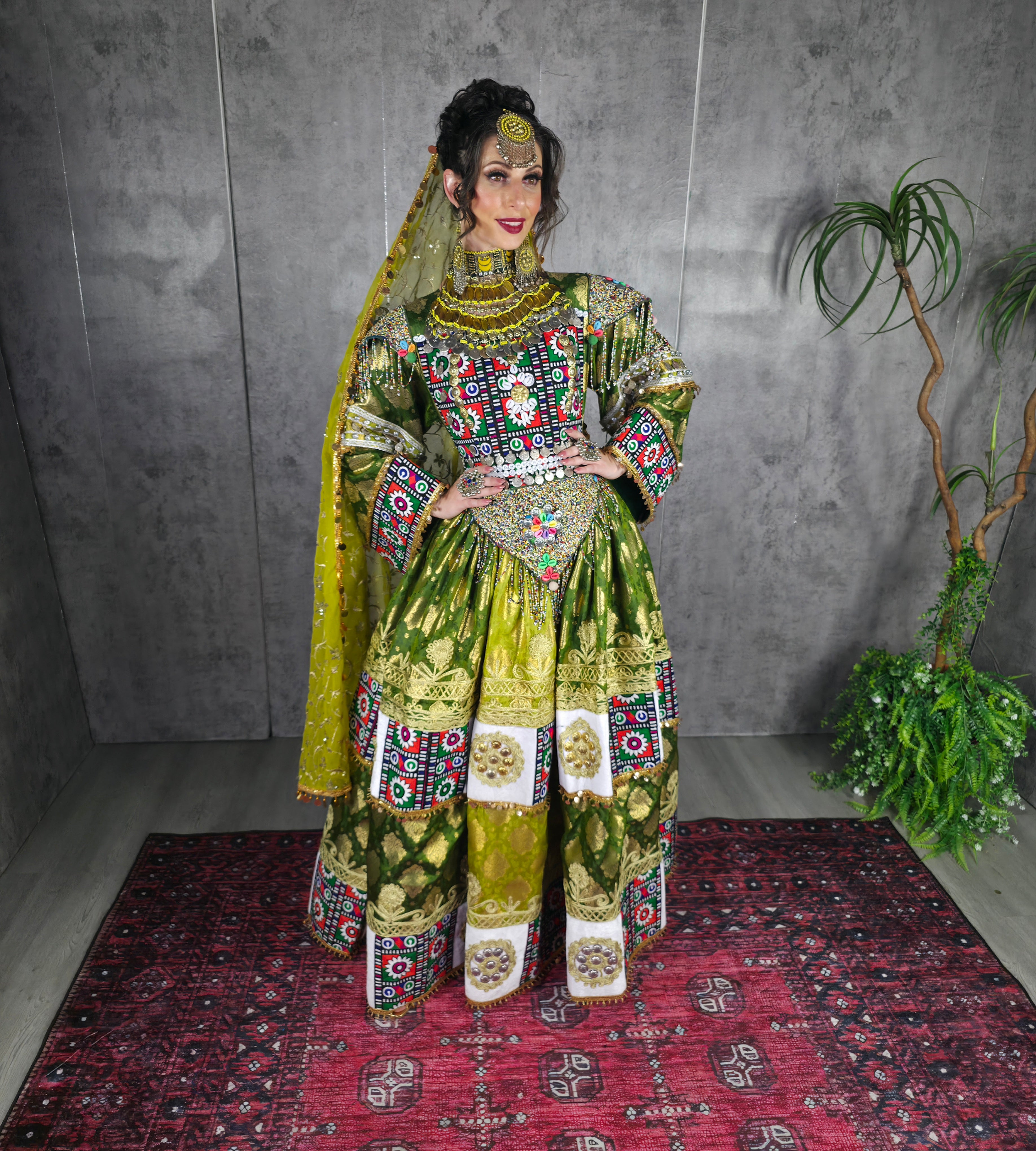 Pista/Green Banaras Dress