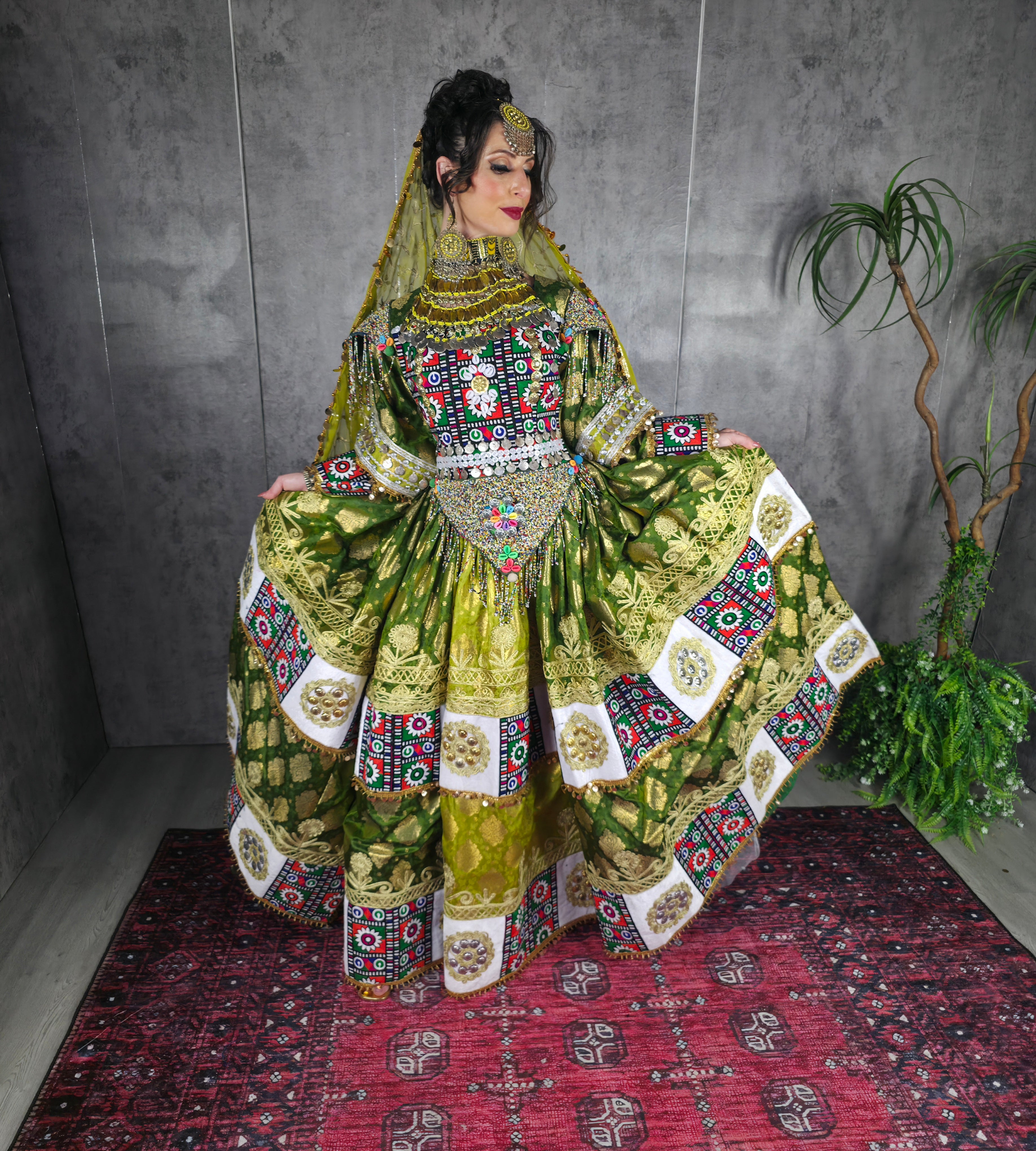 Pista/Green Banaras Dress