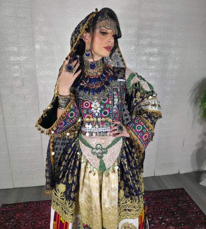 Navy/Beige Banaras Dress