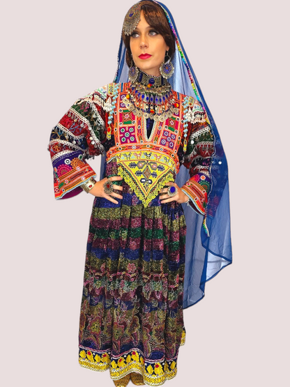 Multi Zari Kuchi Dress