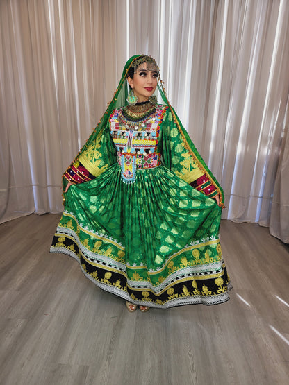 Green Banaras Dress