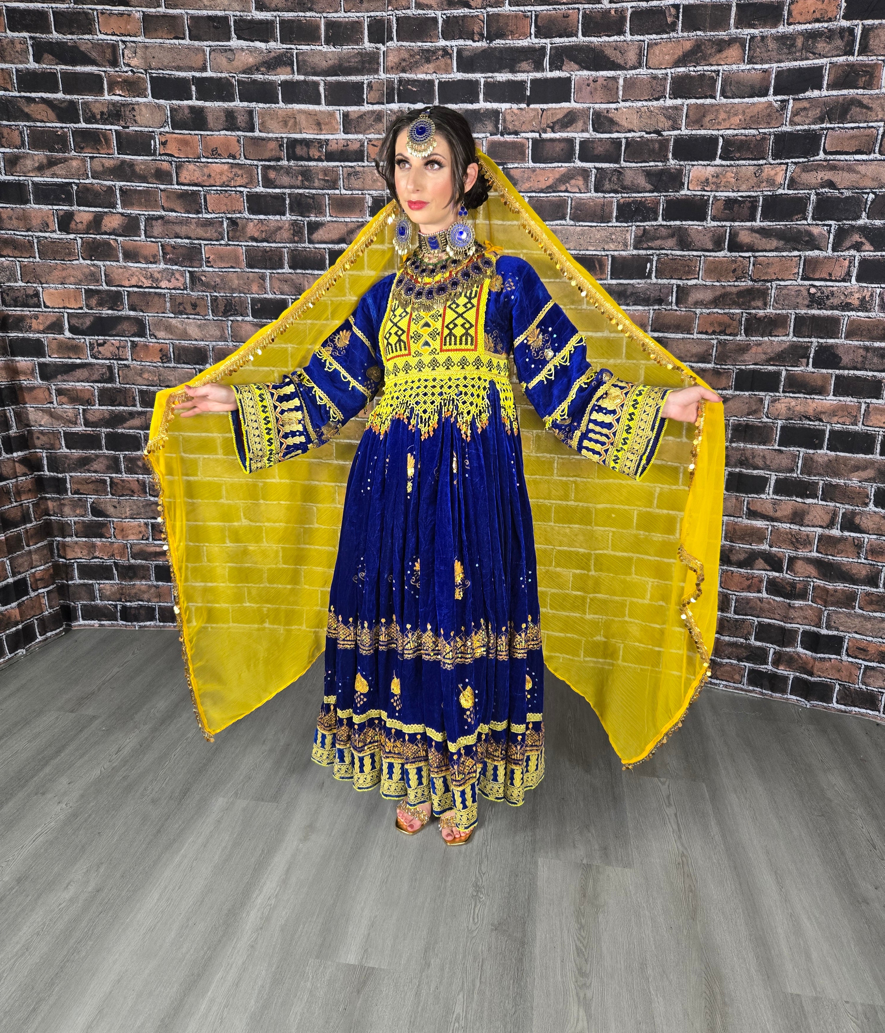 Blue Zari Bakhmal Dress